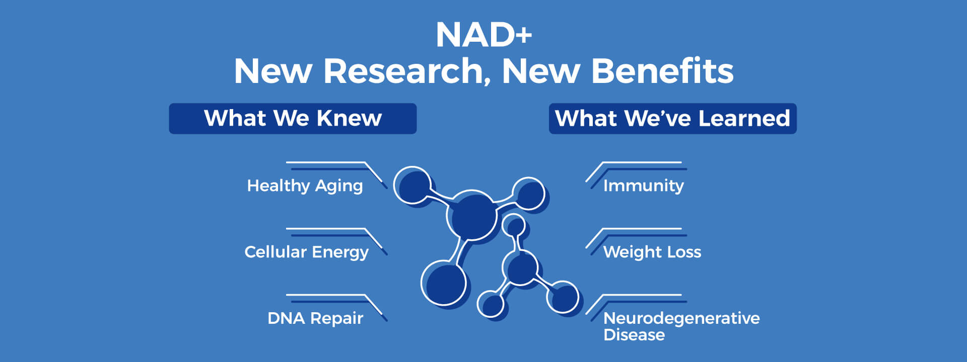Latest Research on NAD+ Underscores its Broad Benefits