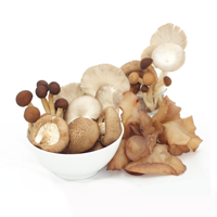 Mushroom Blends